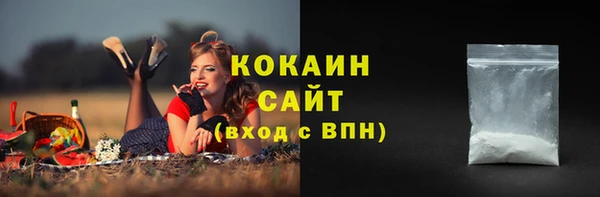 шишки Белоозёрский