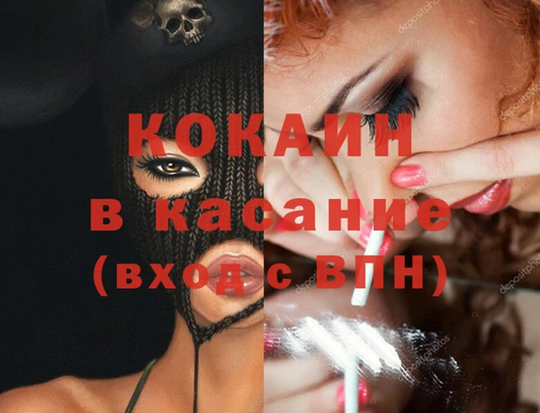 шишки Белоозёрский