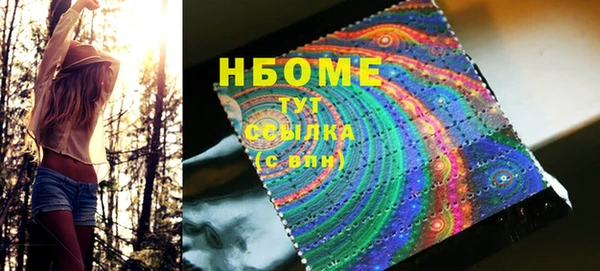 шишки Белоозёрский