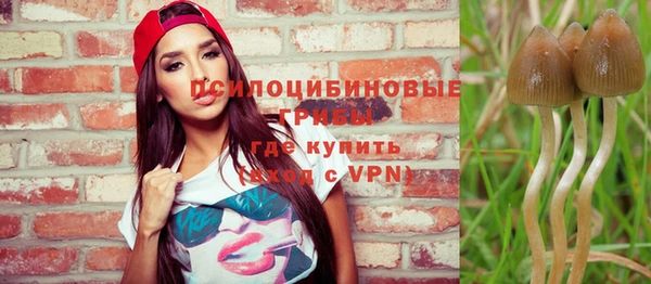 ГАЛЛЮЦИНОГЕННЫЕ ГРИБЫ Белокуриха