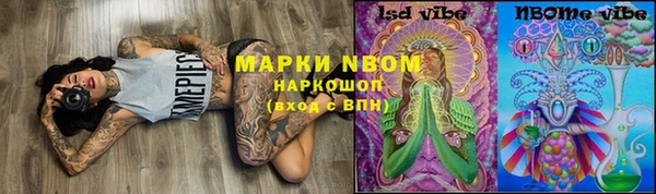 шишки Белоозёрский