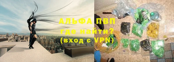 шишки Белоозёрский