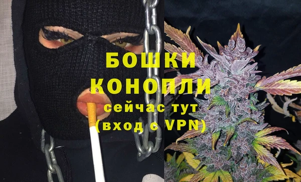 ГАЛЛЮЦИНОГЕННЫЕ ГРИБЫ Белокуриха