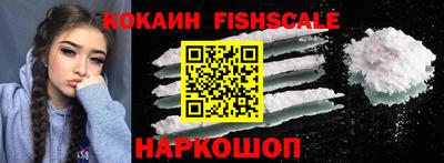 индика Дубна