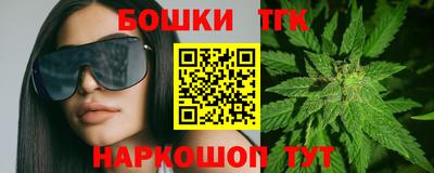 индика Дубна