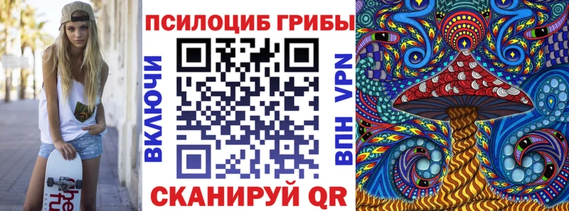 Галлюциногенные грибы Psilocybine cubensis  наркошоп  Свободный 