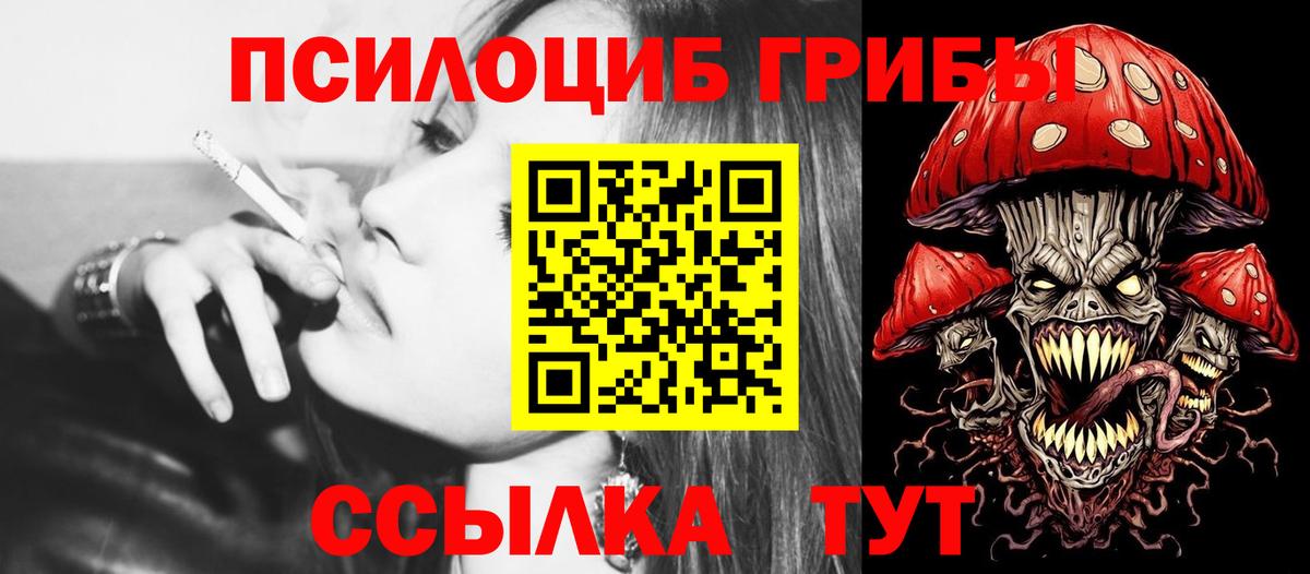 Свободный  Галлюциногенные грибы GOLDEN TEACHER  Вход с VPN  купить  цена  Галлюциногенные грибы Psilocybe 